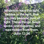 jesusislight1.png