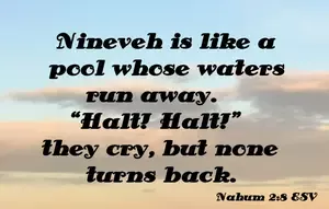 ninevah2.jpg