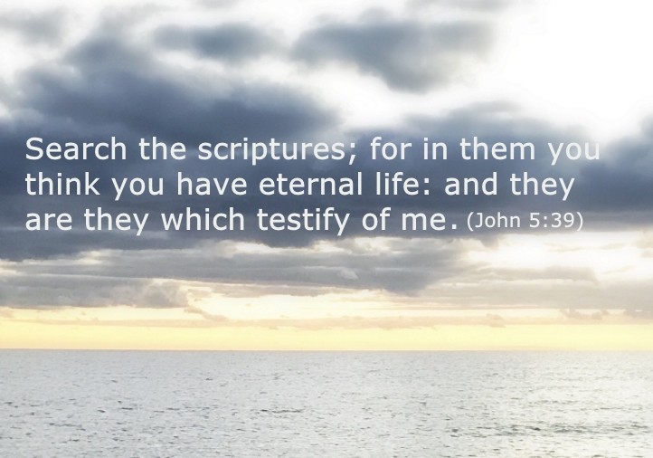 John5-39.jpg
