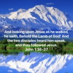 GospelaccordingtoJohn4.jpg.png