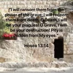 Hosea3.JPG.png