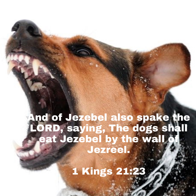 Jezebel2.jpg.png