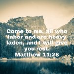 Matthew3.jpg.png