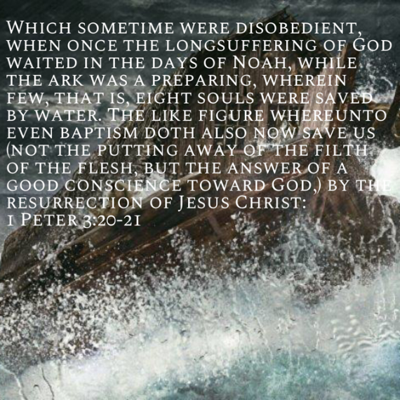 Noahsark5.jpg.png