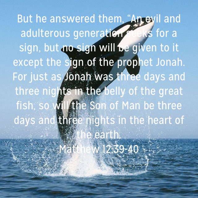 Orcas.jpg