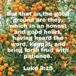 PatienceBibleVerses1.png