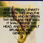 genesis2.png