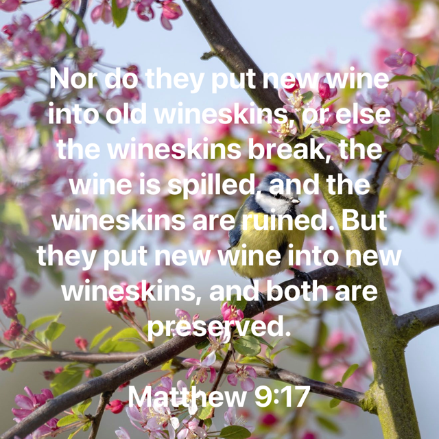 newwine.1JPG.png