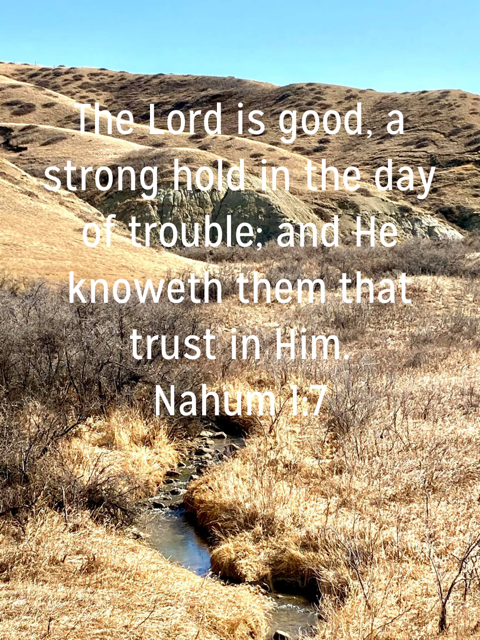 BookofNahum1.png