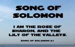 SongofSolomon.JPG
