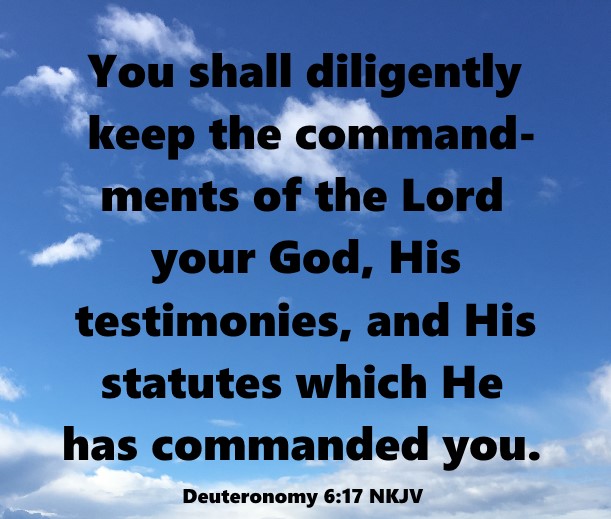 Bible Verses about Being Diligent