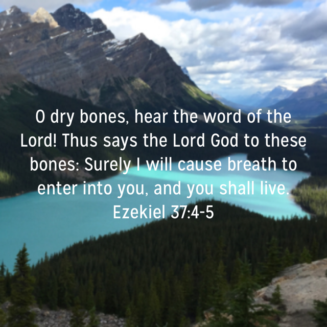 Dry Bones