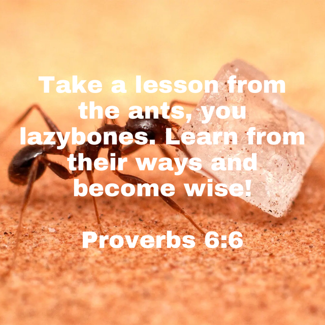 Lazybones Bible Verses lazybones-bible-verses