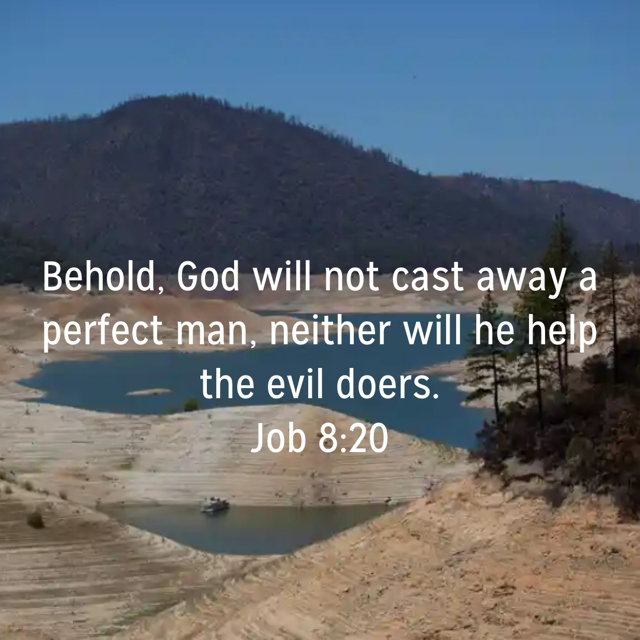 perfectman4.JPG.png