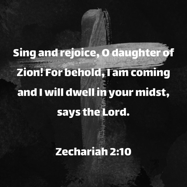 zech2-10